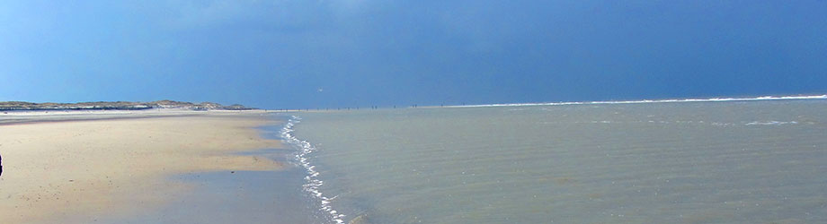 slide_11.jpg