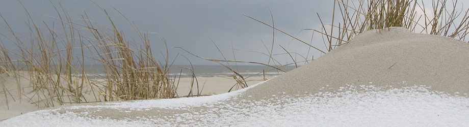 slide_6.jpg