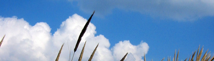 slide_7.jpg